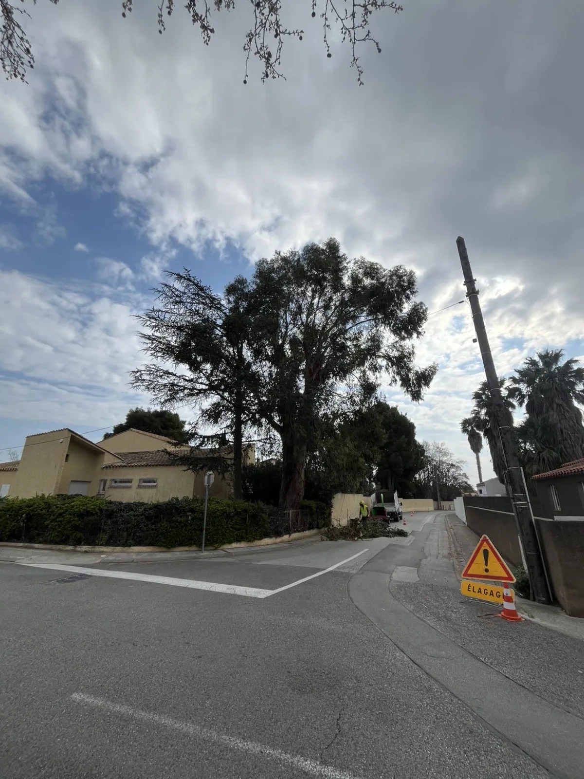 Carrefour balisé pour chantier d'élagage — panneau ÉLAGAGE et cônes de signalisation, Vertical Élagage 66
