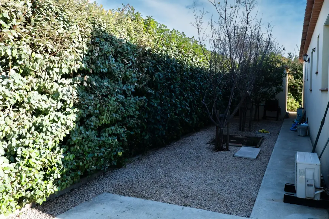 Même jardin après débroussaillage — haie taillée nette et sol propre Vertical Élagage Perpignan 66