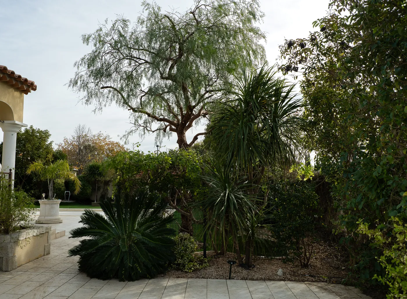 Jardin méditerranéen entretenu — cycas, poivrier, yucca — Vertical Élagage